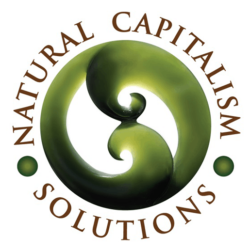 Natural Capitalism Solutions
